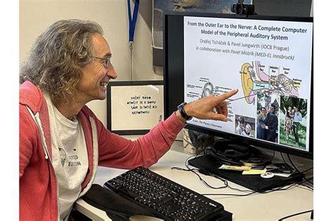 Image result for In-Ear Programming Model Example