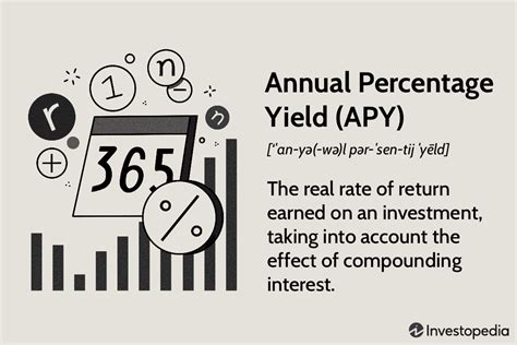APY Example 的图像结果