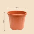 Gardening Pots - Terracotta Color – Ugaoo