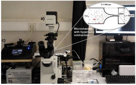 Microfluidic Deformability Study of an Innovative Blood Analogue Fluid ...