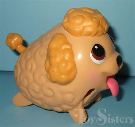 Image result for Fat Cockapoo