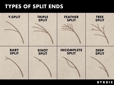 Hair Ends Split