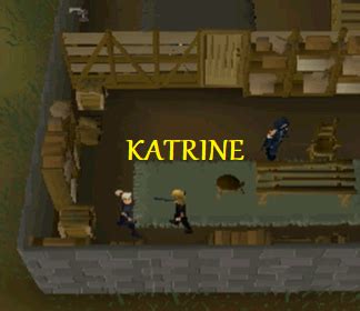 Image result for OSRS Shield of Arrav Guide