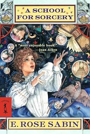 A School for Sorcery : Sabin, E. Rose: Amazon.in: Books