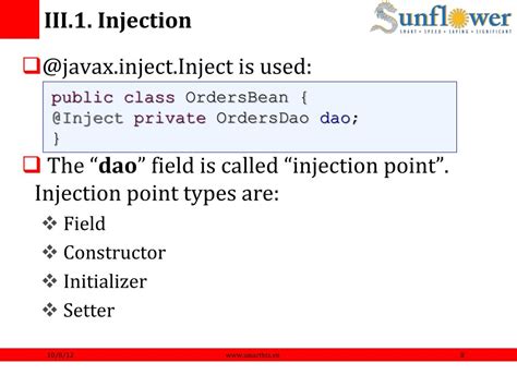 Injection in Java 的图像结果