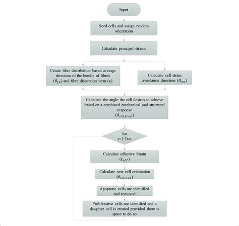Image result for Exact Example Algorithm Flowchart