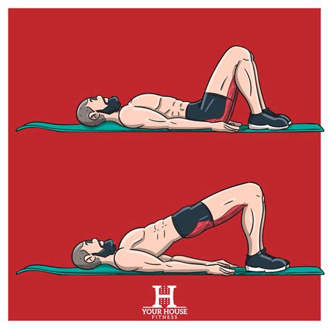 Image result for Daily Lower Back Exercises