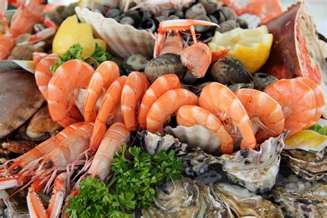 Nos Fruits de Mer - Caprices iodés