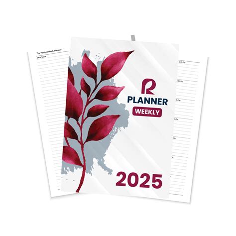 Weekly Routine 的图像结果