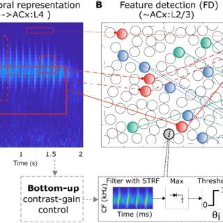 Image result for Computational Model Structure