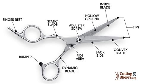 10 Most Important Parts Of Scissors? How Are They Made?