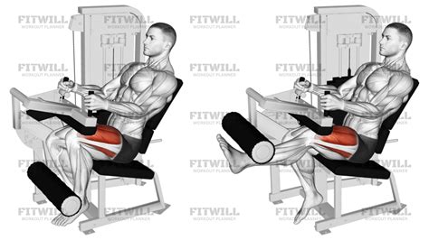 Lever Seated Leg Extension (VERSION 2): Exercise Guide, Video ...