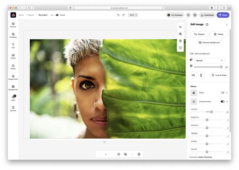 Image result for Editor Software Free Download