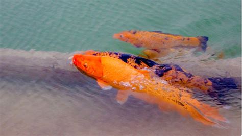 Aspire Park: A Popular Park In Qatar To Spend Leisure Time