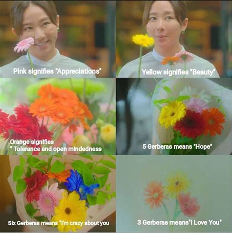 Movie lines: Discover 16 ideas from "movie lines"