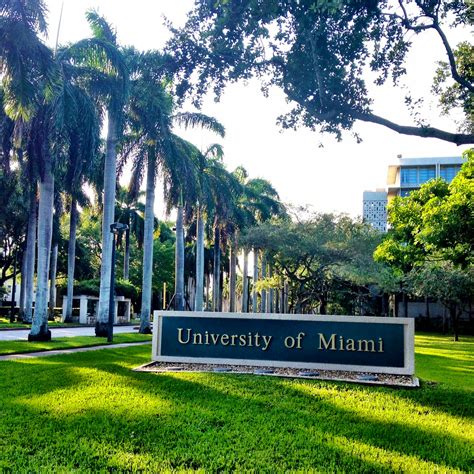University of Miami - Admission Requirements, SAT, ACT, GPA and chance ...