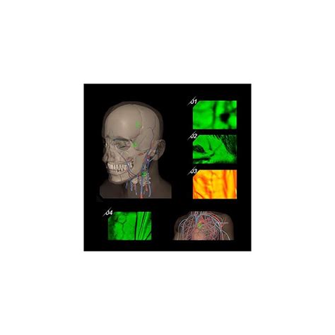 Buy zinnor Vein Finder Adults Children Vein Scanner Display Lights ...