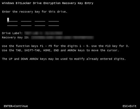 Image result for BitLocker Recovery Key Windows 8