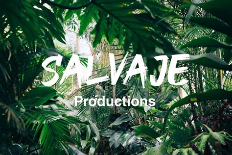 SALVAJE, Twelve After Twelve, Washington, 3 November to 27 August ...