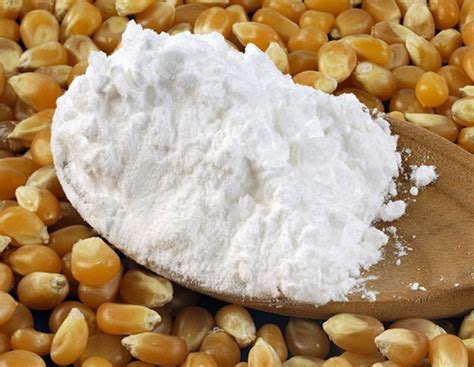 【淀粉】国维一级食用玉米淀粉 厂家直销 食用玉米淀粉 生粉-阿里巴巴