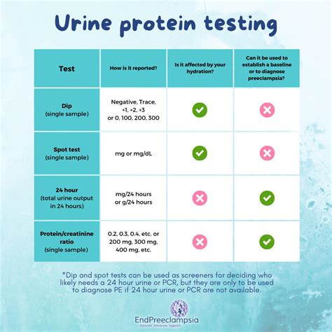 Protein In Urine With Preeclampsia at James Marts blog