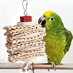 Wrisky Bird Parrot Cage Hanging Toys Cuttlebone Loofah Sponge Dough ...