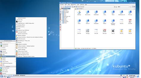 Image result for Trinity Desktop