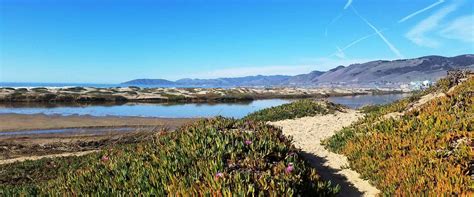 Image result for Computer Vision Ai Examples
