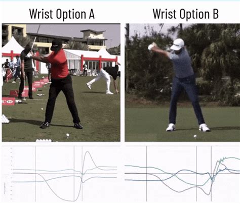 Image result for Hackmotion Golf