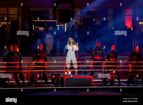 Rezultat imagine pentru Formula Libre Build