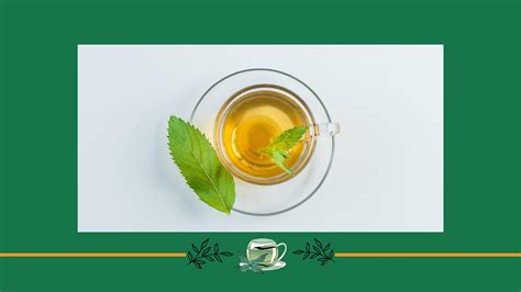Benefits Of Drinking Green Tea
