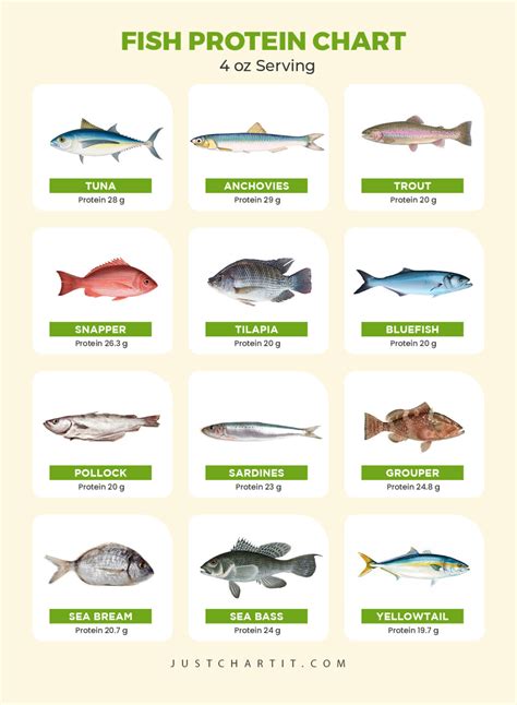 Fish Protein Chart : Low and Hight Protein Fish List