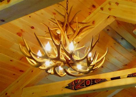 Mule Deer Antler Chandelier at Stephanie Fleming blog