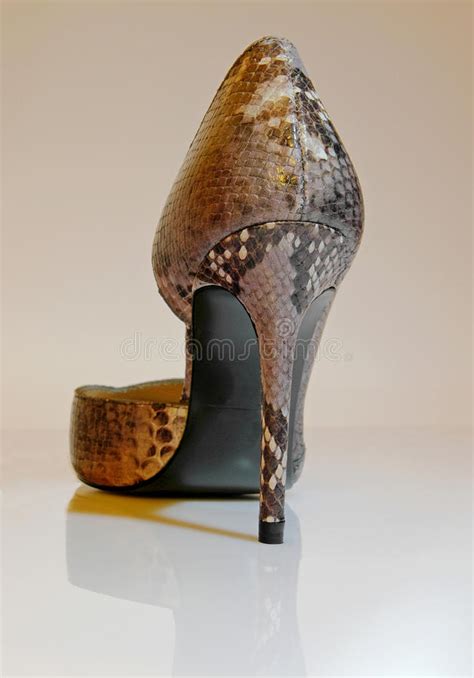 穿有高跟鞋的女商人腿黑皮鞋 库存图片. 图片 包括有 有吸引力的, 设计, 查出, 长期, 背包, 英尺 - 60768663