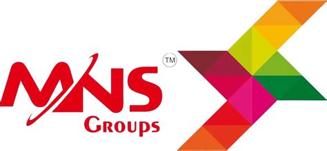 MNS Group – OME distributor