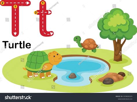 Alphabet Letter Tturtle Cartoon Vocabulary Illustration Stock Vector ...