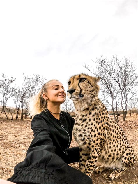 What Are Cheetahs Predators