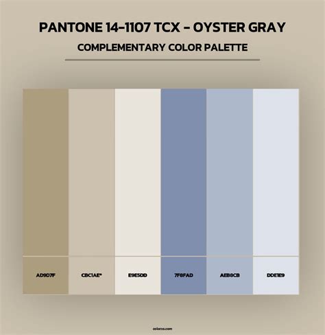 PANTONE 14-1107 TCX - Oyster Gray color palettes - colorxs.com