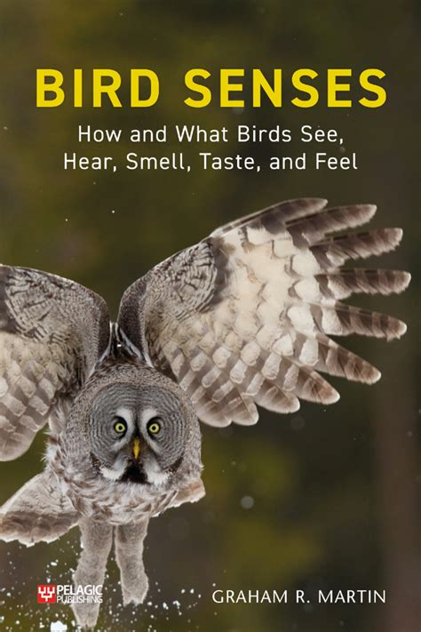 Bird Senses How and What Birds See, Hear, Smell, Taste and Feel 1st ...
