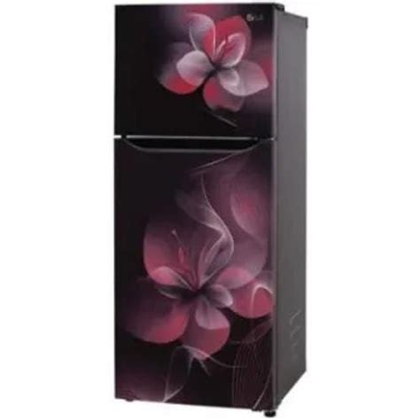 LG GL-N292DPDY 260 Ltr Double Door - Price in India, Specifications ...