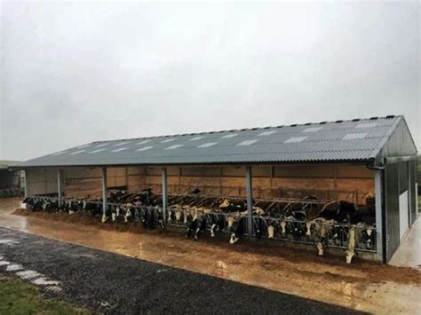 Prefabricated Structure - Mild Steel Prefabricated Dairy Farm Shed ...