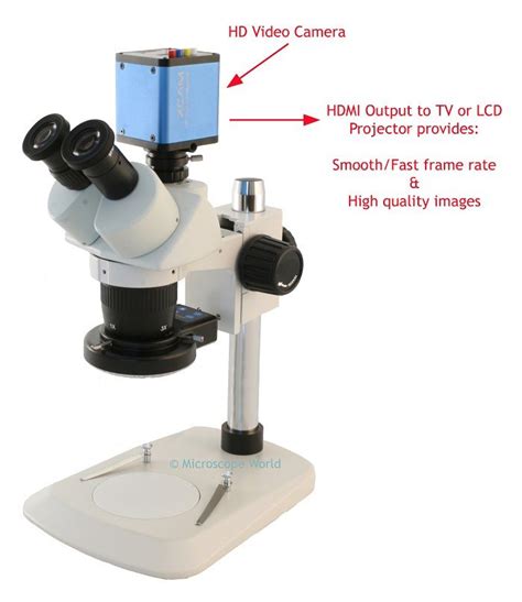 Image result for Microscope and Its Classification