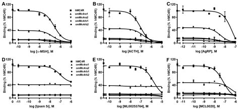 Divergent Pharmacology and Biased Signaling of the Four Melanocortin-4 ...
