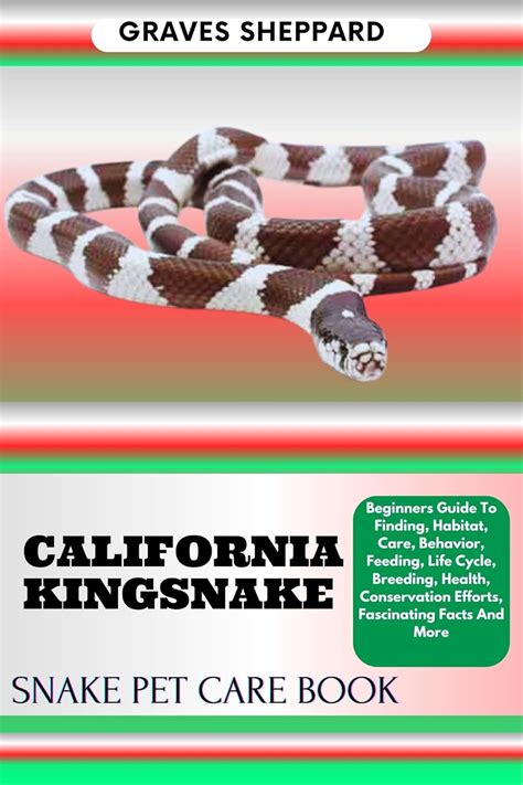 CALIFORNIA KINGSNAKE SNAKE PET CARE BOOK: Beginners Guide To Finding ...