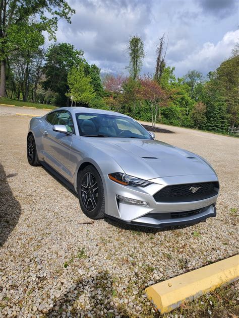 Dream Achieved! Finally my 1st Mustang. 2019 Ecoboost Premium. : r/ecoboostmustang