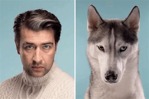 Собаки, похожие на своих владельцев / Питомцы