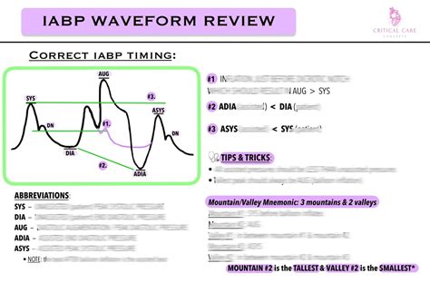 Image result for IB/AP Correct Timing