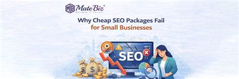 Why Cheap SEO Packages Fail for Small Businesses | Matebiz