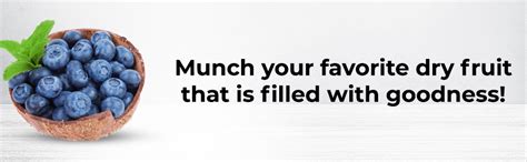 Nutraj Dried Whole American Blueberries | No Added Preservatives ...