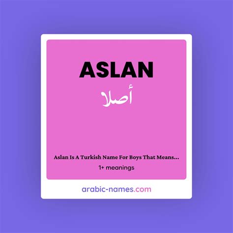 Aslan Name Meaning